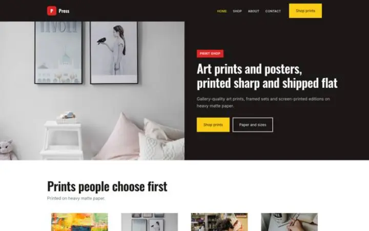 Website für Druckladen