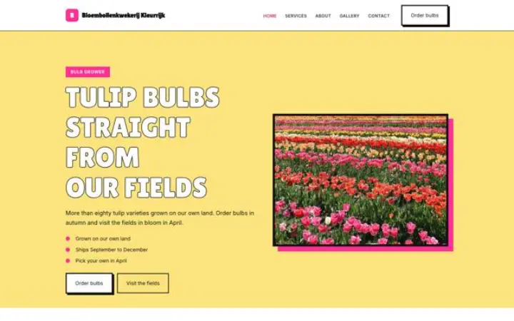 Website für Tulpenzwiebelgärtnerei
