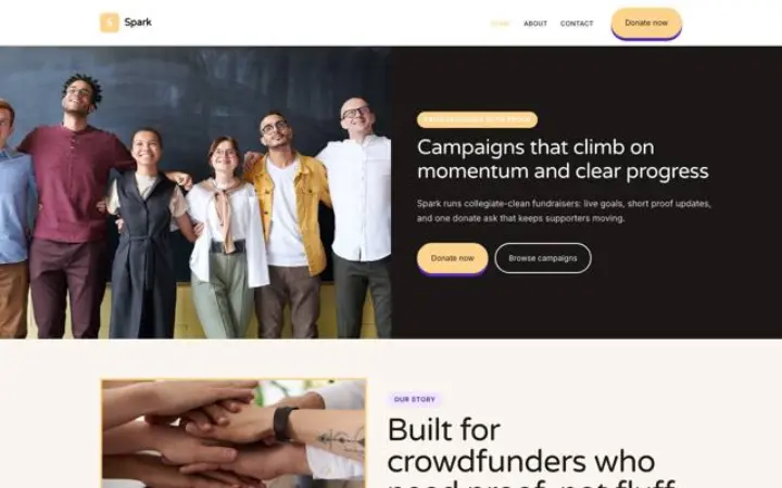 Beispiel für das Theme Spark für Spendenaktion