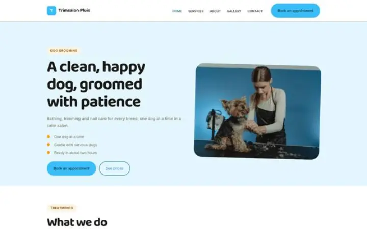 Website für Hundesalon
